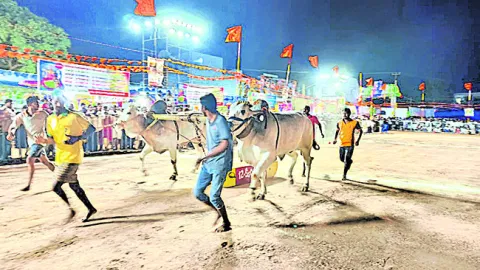 హోరాహోరీగా ఎడ్ల బల ప్రదర్శన పోటీలు 