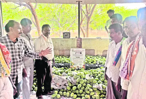 ప్రకృతి సిద్ధంగా మాగబెట్టాలి 