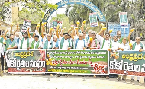 Cocoa farmers fire on TDP Government