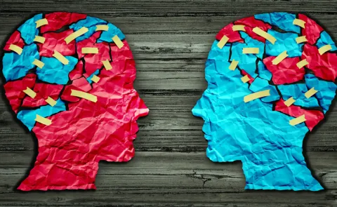 What is the full meaning of ideology?