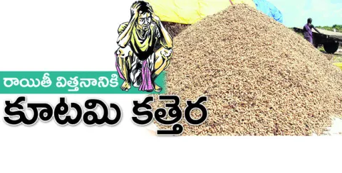 కూటమి ప్రభుత్వం వ్యవసాయాన్ని నిర్లక్ష్యం చేస్తూనే ఉంది.
