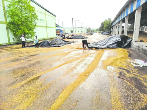 కన్నీ