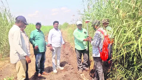 జిరాయితీ భూముల సర్వే ప్రారంభం 