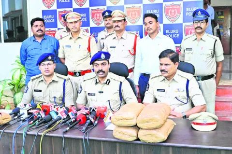 రూ.39.50 లక్షల గంజాయి పట్టివేత 
