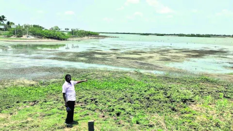 పక్షుల కేంద్రం చెరువులో నీటిని నింపాలి 