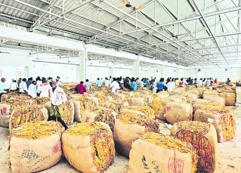 పొగబె