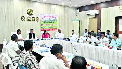 మే 20 నుంచి రబీ ధాన్యం సేకరణ