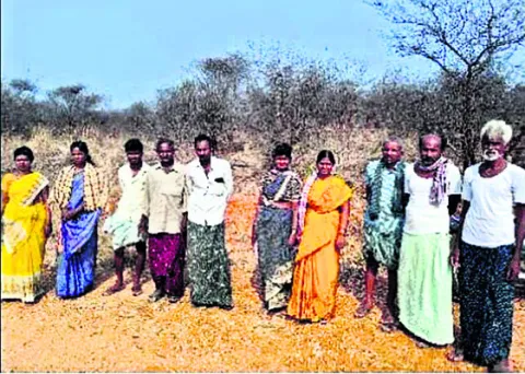 అవినీ