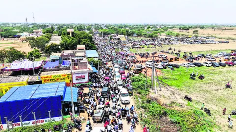 సనపకు