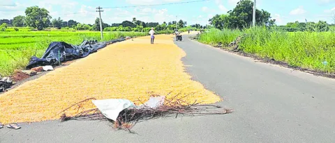 రోడ్ల