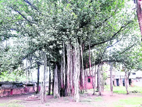 సంగీత