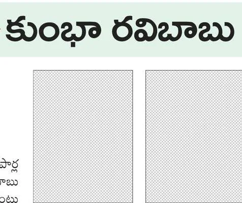వైఎస్సార్‌సీపీ శ్రీకాకుళం పార్లమెంటు పరిశీలకుడిగా