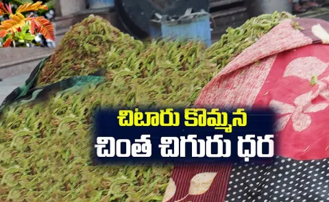 Tender tamarind leaves price competing with non veg price