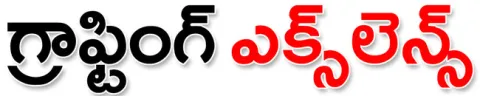 ఒకరు 