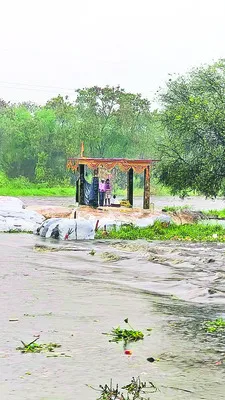మూసీ 