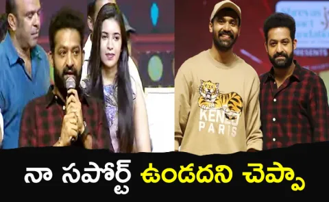 Young Tiger Jr Ntr Comments In Mad Square success Event