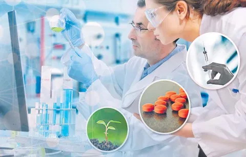 AP sets new records in biotechnology