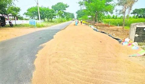 రహదారులే దిక్కు..!