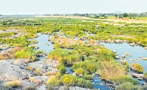 Cancer threat from polluted water: Telangana