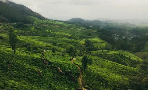 Shooting Bandh In Ooty