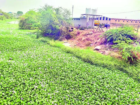బఫర్‌