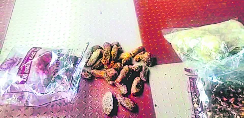 బూజు 