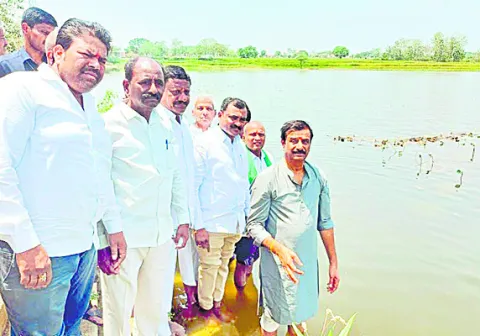మెరుగ