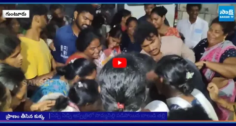 Four Year Old Boy Dies in Stray Dogs Attack at Guntur 