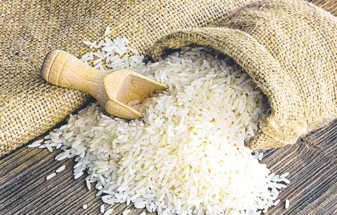 Wide publicity for distribution of fine rice and Rajiv Yuva Vikasam schemes