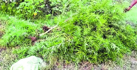 ఎకై ్సజ్‌ కార్యాలయం ఏదీ?