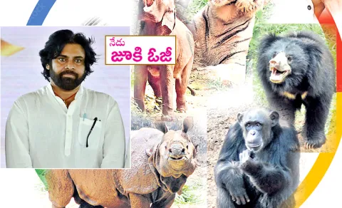 pawan kalyan Today visit Zoological Park in Vizag
