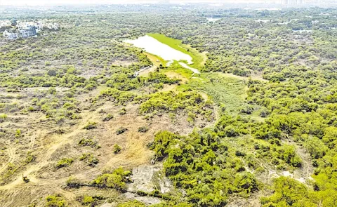 Kancha Gachibowli 400 acre land issue: Telangana