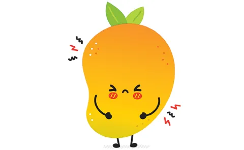 Mango exports effected by Donald Trump new tariffs