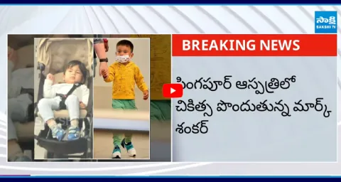 Pawan Kalyan Son Mark Shankar Injured