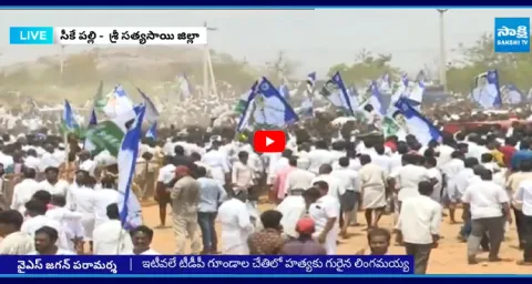 YSRCP Leaders Reaction On Massive Crowd at Papireddy Palli Raptadu