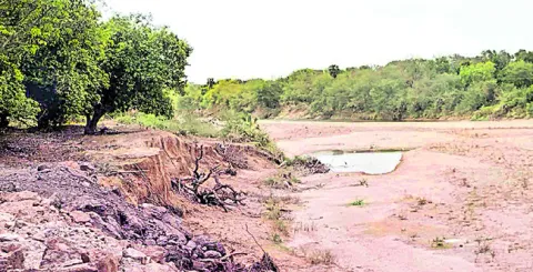 అన్నద