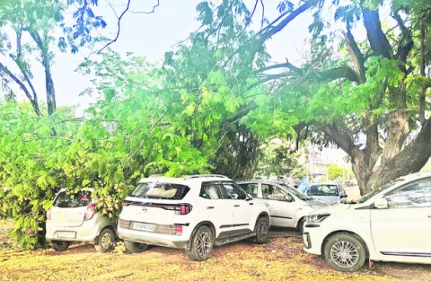ఈదురు