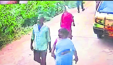 యనమలక