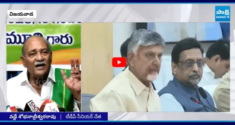 TDP Senior Leader Vadde Sobhanadreeswara Rao Sensational Comments On Chandrababu