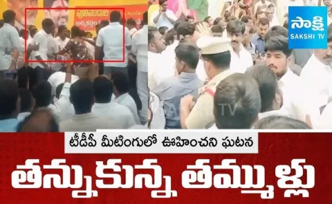 TDP And Alliance Leaders Commissions In AP