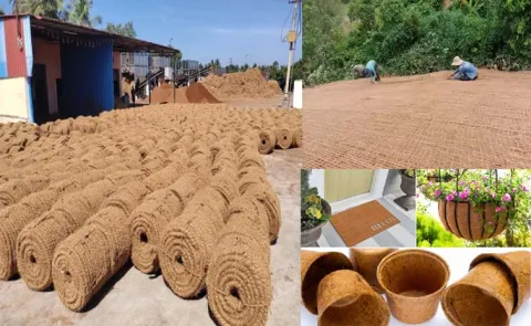 Environmental Friendly Method For The Extraction Of Coir Fiber