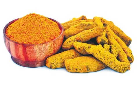 Kammarpalli Turmeric Research Center efforts in developing new varieties