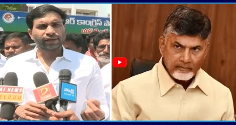 Devineni Avinash Comments On Chandrababu And TDP Government 1