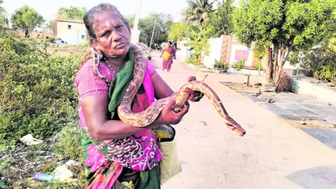 కూటి కోసం పాము చేత పట్టి 