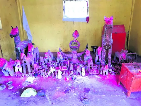 విత్త