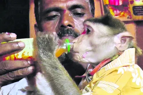 అనాథగ