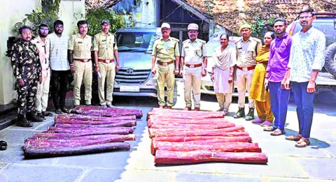 34 ఎర్రచందనం దుంగలు, ఇన్నోవా వాహనం సీజ్‌