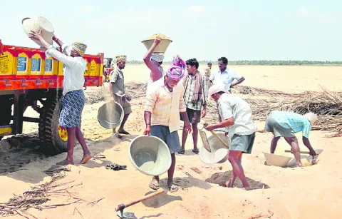 సృష్ట