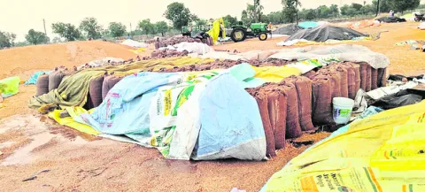 అన్నదాతను వీడని అకాల వర్షం