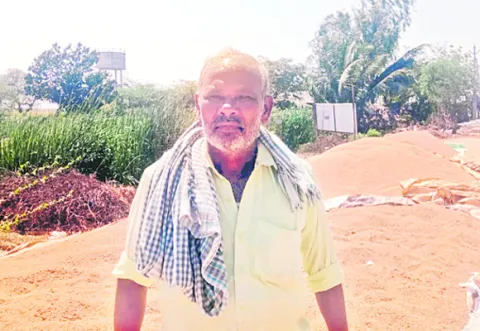 గింజకున్నా కొనట్లేదు!